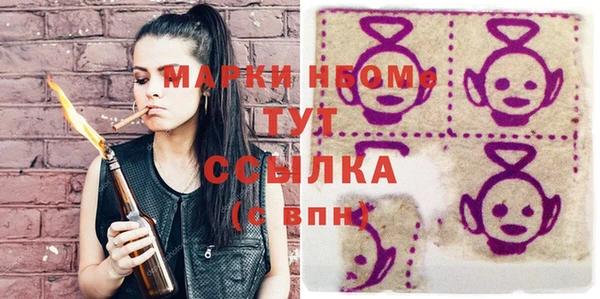 гашик Гусь-Хрустальный