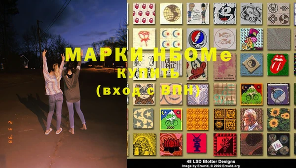 гашик Гусь-Хрустальный