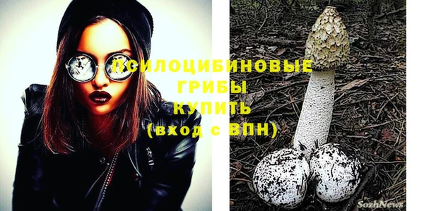 MESCALINE Гусев