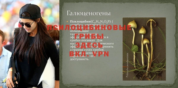 не бодяженный Гусиноозёрск